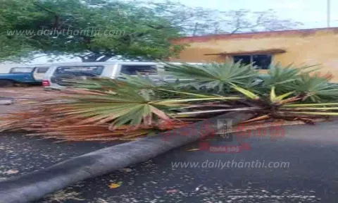 மின்கம்பங்கள், மரங்கள் விழுந்ததால் இருளில் மூழ்கிய கிராமங்கள்