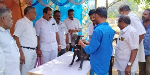 வெறிநோய் தடுப்பூசி முகாம்