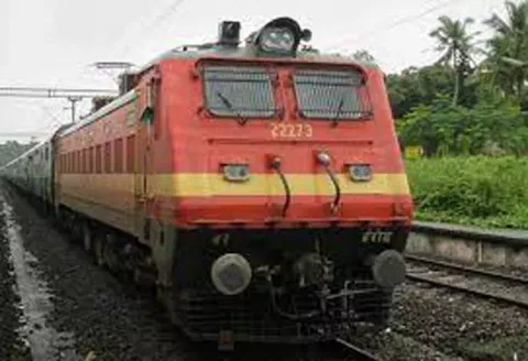 மும்பை- நாகர்கோவில் எக்ஸ்பிரஸ் ரெயிலில் கரப்பான் பூச்சி, எலி தொல்லை- பயணிகள் குற்றச்சாட்டு