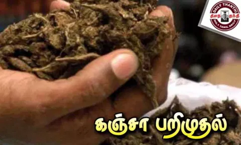 புழல் சிறையில் கைதியிடம் கஞ்சா பறிமுதல்