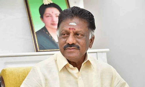 தொகுப்பு ஊதியத்தில் பணிபுரியும் செவிலியர்களை பணி நிரந்தரம் செய்க: ஓபிஎஸ்