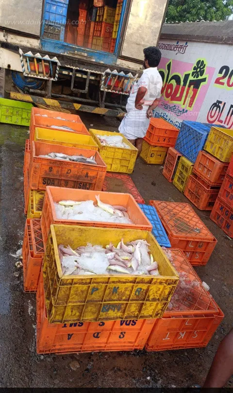 கும்பகோணம் மீன் மார்க்கெட்டுக்கு அதிக அளவு வெளிமாநில கடல் மீன்கள் வந்தன