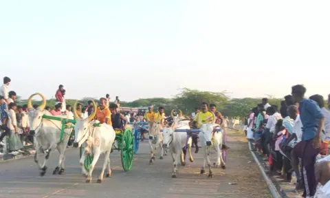 மாட்டு வண்டி எல்கை பந்தயம்