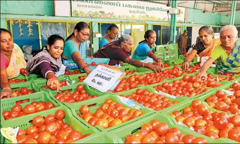 தமிழகம் முழுவதும் நாளை முதல் 300 ரேஷன் கடைகளில் தக்காளி விற்பனை..!