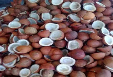 ஆனைமலையில் கொப்பரை தேங்காய் ஏலம்