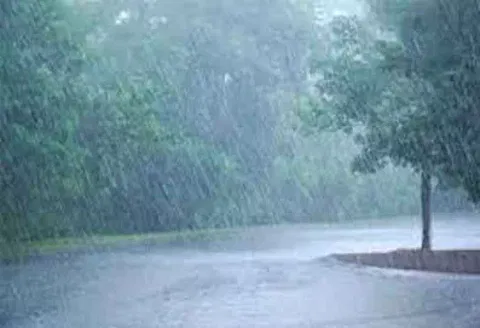தர்மபுரிமாவட்டத்தில் பரவலாக மழை