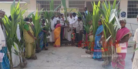 மோசூர் கிராமத்தில் 600 தென்னங்கன்றுகள் வினியோகம்
