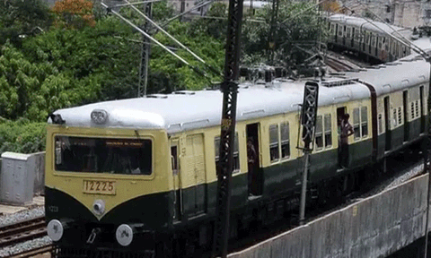 உலகக்கோப்பை கிரிக்கெட் தொடர்: சென்னையில் சிறப்பு ரெயில் இயக்கம்