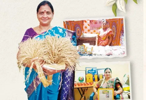 பாரம்பரிய நெல் ரகங்களை மீட்டெடுக்கும் மகாலட்சுமி