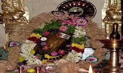 சதுரகிரி சுந்தரமகாலிங்கம் கோயில் வனப்பகுதியில் தங்கி நவராத்திரி விழா நடத்த அனுமதி கிடையாது - நீதிமன்றம்