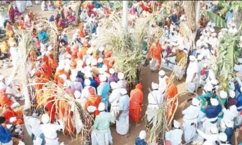 சாதி மத பேதமின்றி மெய்வழிச்சாலையில் நடக்கும் சமத்துவ பொங்கல் விழா
