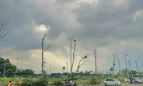 கோப்புப்படம் 