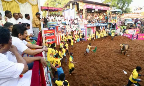 வீர விளையாட்டான ஜல்லிக்கட்டைப் போற்றுவோம், பாதுகாப்போம்- அமைச்சர் உதயநிதி ஸ்டாலின்