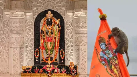 ராமர் கோவில் கருவறைக்குள் திடீரென புகுந்த குரங்கு...!! அடுத்து நடந்த ஆச்சரியம்