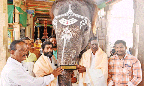 56 வயதிலும் சுறுசுறுப்பு... தமிழ்நாட்டின் சிறந்த யானையாக கும்பகோணம் மங்களம் தேர்வு