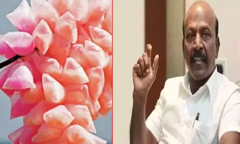 கோப்புப்படம் 