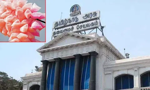 தமிழகத்தில் பஞ்சு மிட்டாய் விற்பனைக்கு அரசு தடை