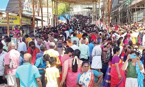 திருச்செந்தூர் கோவிலில் பங்குனி உத்திர திருவிழா: திரளான பக்தர்கள் சாமி தரிசனம்