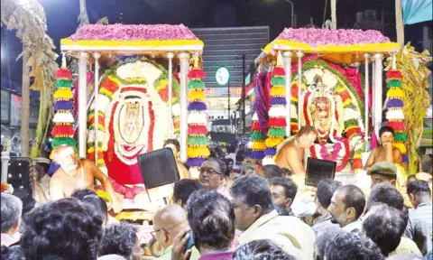 Aani Festival Nellaiappar on Silver Sapparam