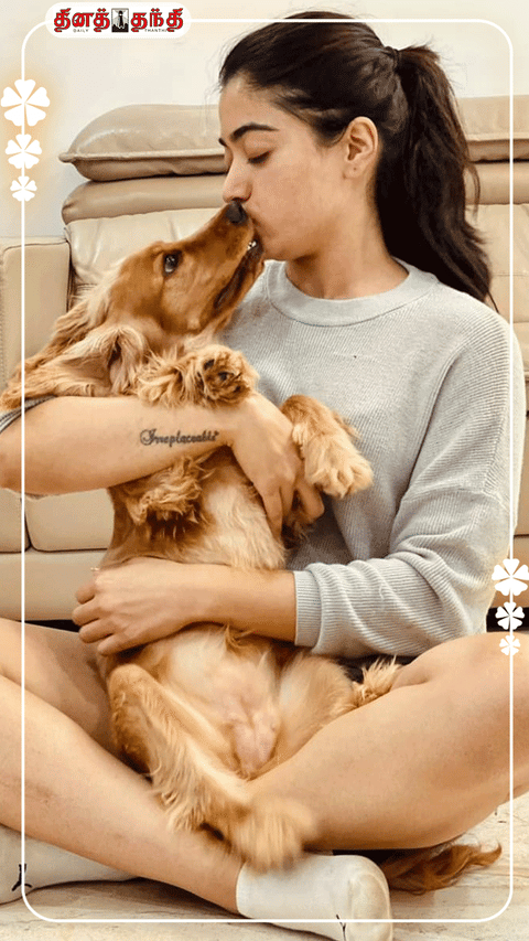 @rashmika_mandanna