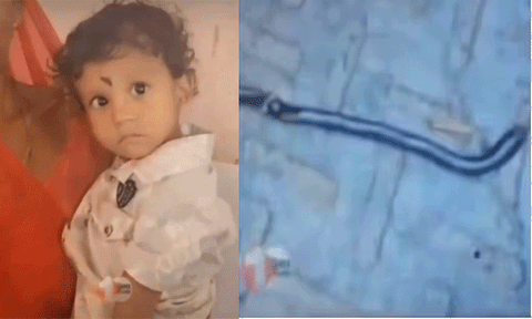 பீகாரில் குழந்தை கடித்து பாம்பு உயிரிழப்பு