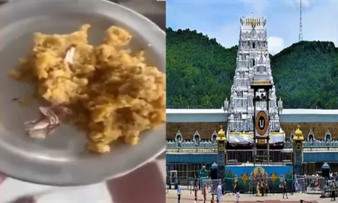 திருப்பதி லட்டுவில் குட்கா பாக்கெட்? வீடியோ வைரல்