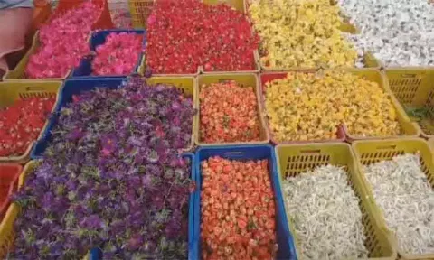 ஆயுத பூஜை: பூக்களின் விலை உயர்வு