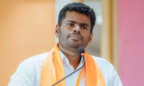 தீபாவளி பண்டிகை: அண்ணாமலை வாழ்த்து