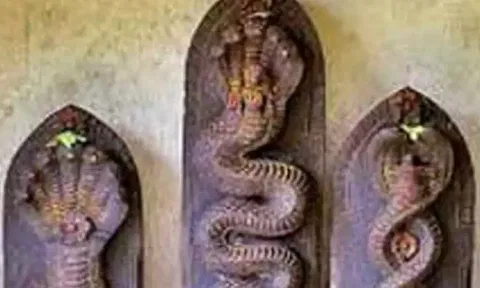ராகு கேதுவால் ஏற்படும் நாக தோஷங்கள்