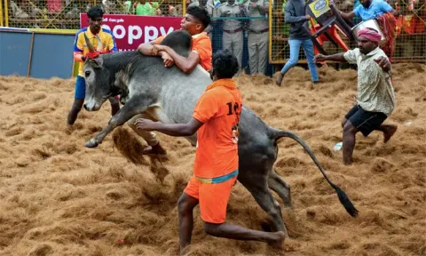 பாலமேடு ஜல்லிக்கட்டு நிறைவு - 14 காளைகளை அடக்கிய வீரருக்கு முதல் பரிசு