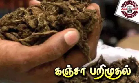 மராட்டியத்தில் கஞ்சா பறிமுதல்; 4 பேர் கைது