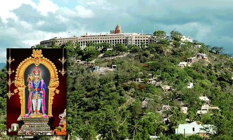 தைப்பூச திருவிழா: பழனியில் குவிந்துள்ள பக்தர்கள்