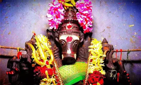 இன்று பஞ்சமி திதி: வாராகி அம்மனுக்கு சிறப்பு அபிஷே ஆராதனை
