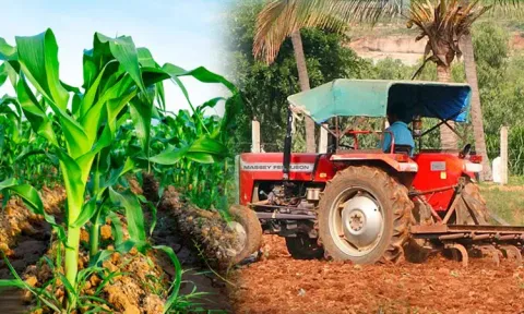 வேளாண்மையில் அதிக உற்பத்திக்கும், தொழில்நுட்பப் பயன்பாட்டிற்கும் ரொக்கப்பரிசுகள் - அமைச்சர் அறிவிப்பு