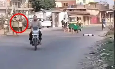 நடுரோட்டில் தெருநாயை சுட்டுக்கொன்ற நபர் - அதிர்ச்சி சம்பவம்
