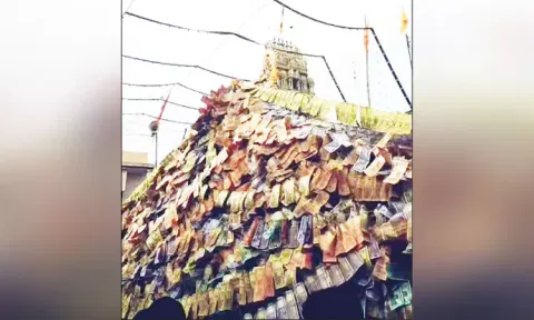 பல்லக்கில் வந்த சாமிகளுக்கு ரூபாய் நோட்டுகளால் மாலை அணிவித்த பக்தர்கள்