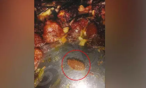 ஓட்டலில் இறைச்சி உணவில் கரப்பான் பூச்சி; வாடிக்கையாளர் அதிர்ச்சி