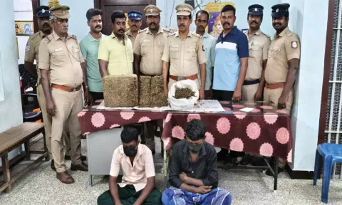 தூத்துக்குடியில் விற்பனைக்காக வைத்திருந்த 11 கிலோ கஞ்சா பறிமுதல்- 3 பேர் கைது