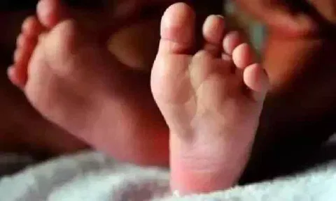 கோப்புப்படம் 