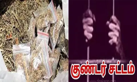 திருநெல்வேலி: கஞ்சா விற்ற வாலிபர் குண்டர் சட்டத்தில் கைது