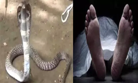 தூத்துக்குடி அருகே பாம்பு கடித்து விவசாயி சாவு