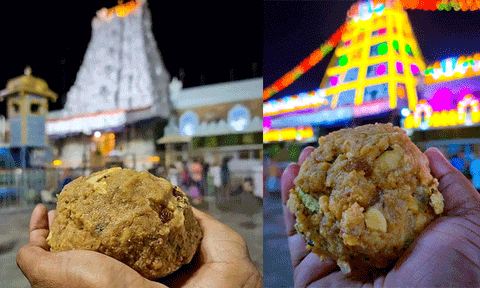 திருப்பதியில் லட்டு வாங்க நீண்ட நேரம் காத்திருப்பதை தவிர்க்க புதிய வசதி அறிமுகம்
