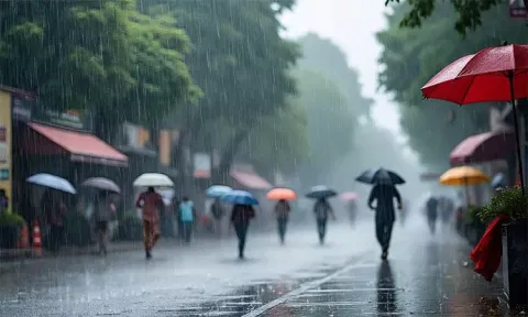 பகல் 1 மணி வரை எந்தெந்த மாவட்டங்களில் மழைக்கு வாய்ப்பு..?