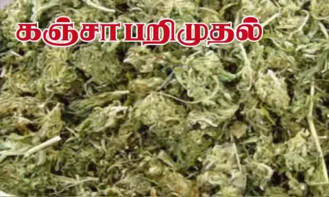 தூத்துக்குடியில் இருந்து இலங்கைக்கு கடத்த முயன்ற 210 கிலோ கஞ்சா பறிமுதல்: போலீஸ் விசாரணை