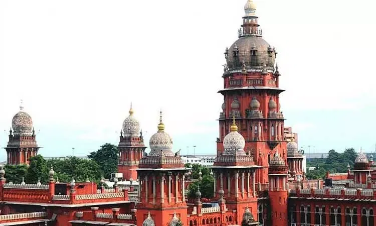 சீமை கருவேல மரங்களை அகற்றுவது தொடர்பான வழக்கு - தமிழக அரசுக்கு ஐகோர்ட்டு அதிரடி உத்தரவு