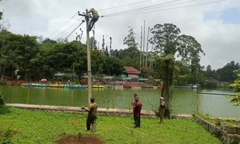 ஏற்காடு படகு இல்லத்தில் தாழ்வாக தொங்கிய மின் கம்பிகள் சீரமைப்பு
