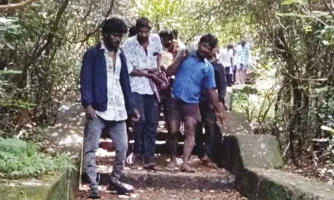 பருவதமலையில் ஏறியபோது 70 அடி உயரத்தில் இருந்து தவறி விழுந்து பக்தர் பலி