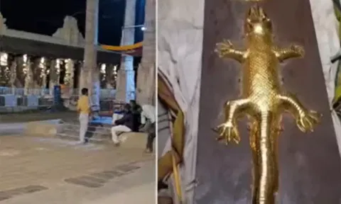 காஞ்சிபுரம் வரதராஜர் கோவிலில் ‘தங்க பல்லி’ மாயமானதாக புகார் - அறநிலையத்துறை மறுப்பு