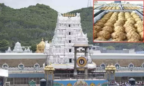 20 கோடிக்கும் அதிகமான திருப்பதி லட்டுகளில் கலப்பட நெய் - சி.பி.ஐ. விசாரணையில் திடுக்கிடும் தகவல்