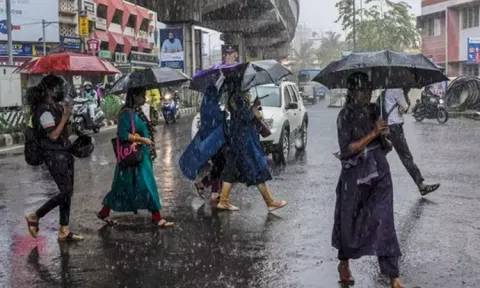 தமிழகத்தில் அடுத்த 7 நாட்களுக்கு மிதமான மழைக்கு வாய்ப்பு